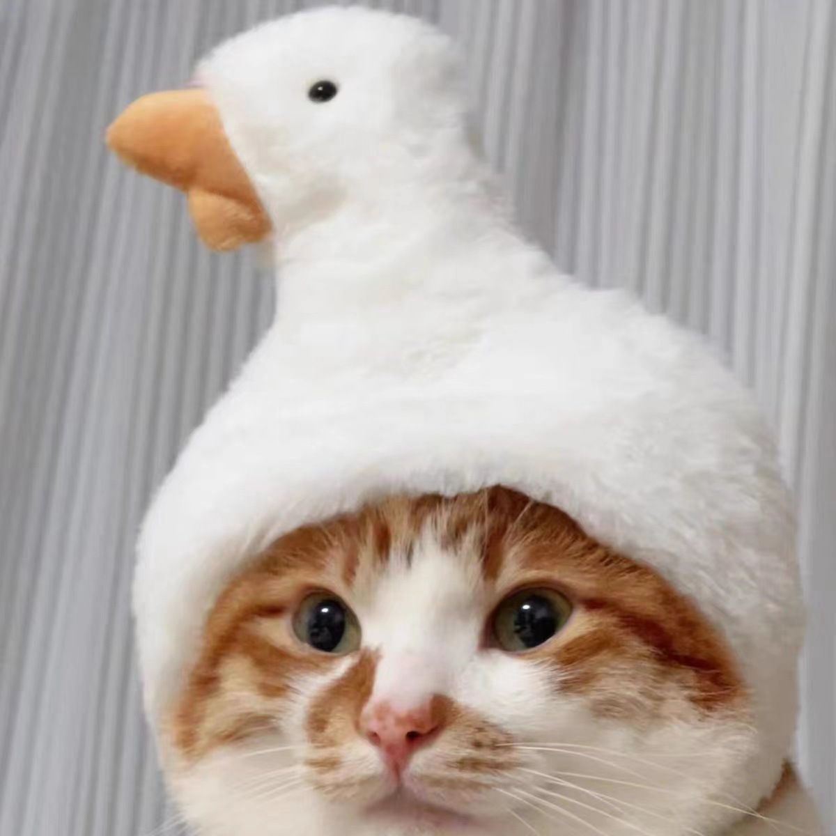 Lustiges Haustier-Stirnband, Plüschgarn, Katze, Hundekappe, Panda, Schwein, Haustier, warme Haustiermütze, KüKen, Cosplay, Zubehör, Kopfschmuck, Kostüm: Lila