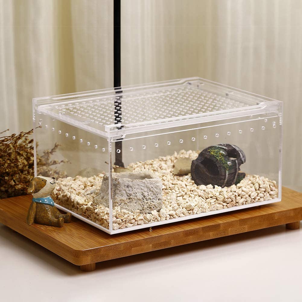 Caja de acrílico para reptiles, caja plana larga transparente para cría de reptiles, terrario, jaula para Tarantula, escorpión, Isopods