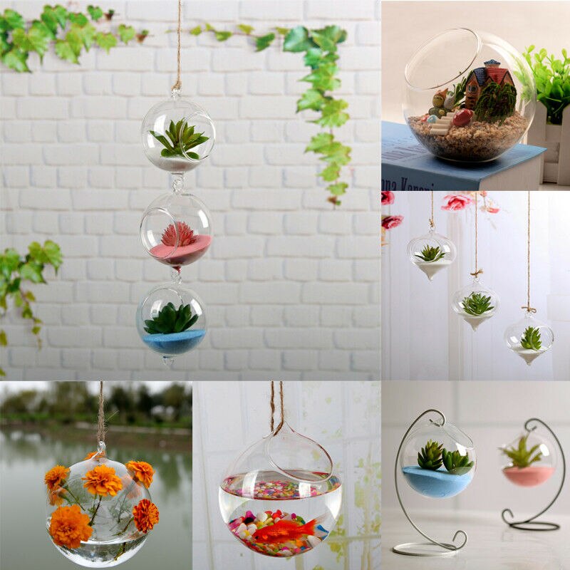 Transparent Clear Glass Flower Plant Stand Hanging Vase Planter Terrarium Container Home Garden Office Decor