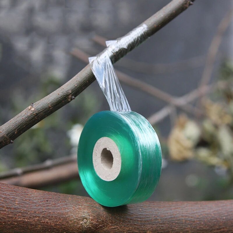 Cinta elástica autoadhesiva de 100M para injertos, película para injertos, herramienta especial para Injerto de árboles frutales, cinta de unión para jardín
