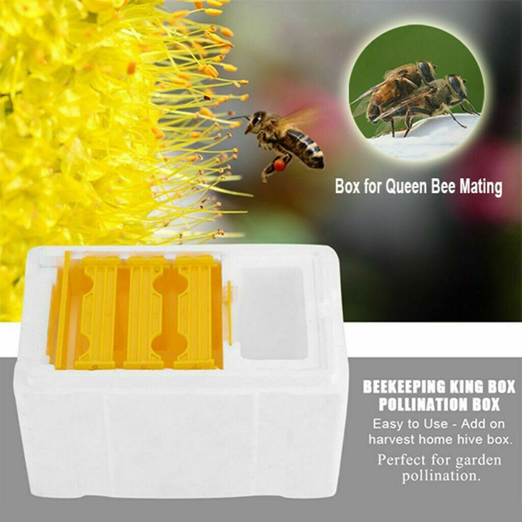 Caja colmena cosechadora polinización de colmena apicultura para apareamiento de abejas aislamiento térmico función antiescape