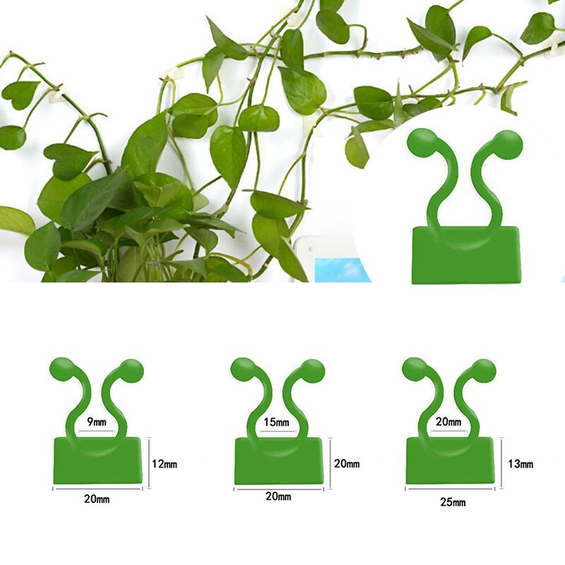 Enganche Invisible para pared de escalada, soporte de gancho adhesivo para plantas, 10 Uds.