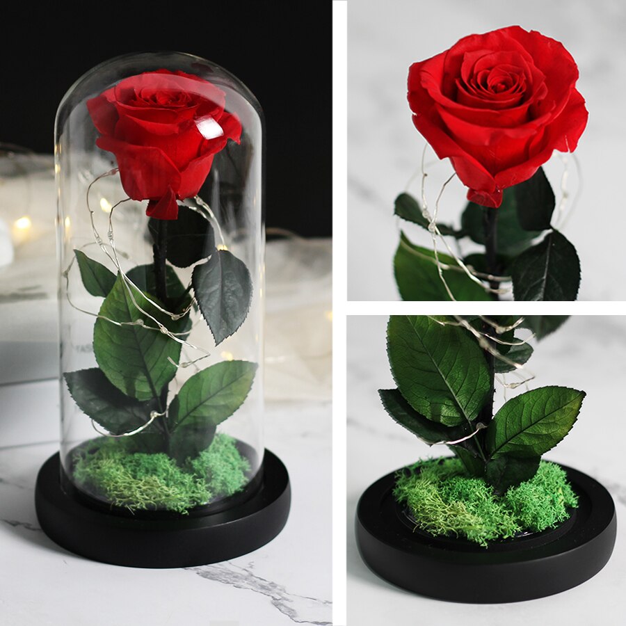Skønheden og udyret evig rød rose i en glaskuppel med led lys sort base til valentins mors dag