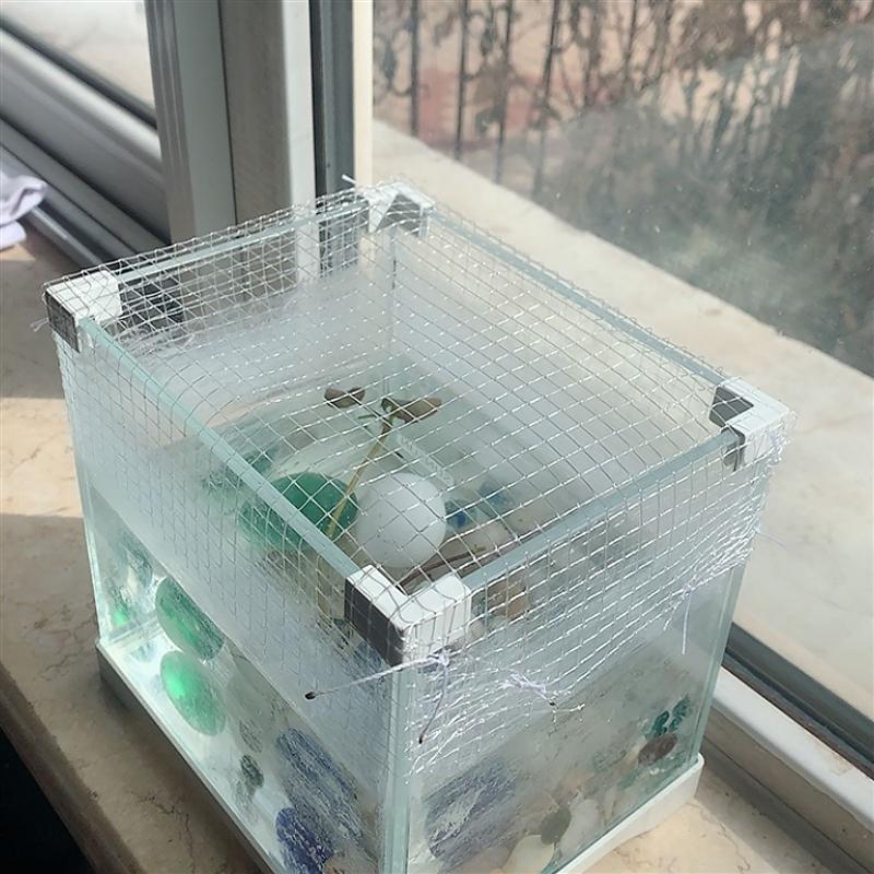 Mesh Netting Aquarium Screen Net DIY Fish Tank Mesh Screen Net Air Screen Net Escape Escape Net Cover
