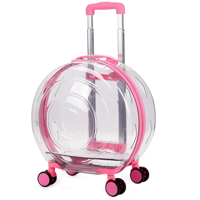 Carrito portátil de gran capacidad para gato, caja de burbujas para cachorro, Chihuahua, jaula para perros y gatos pequeños, bolsa de transporte, Maleta: Transparent 1
