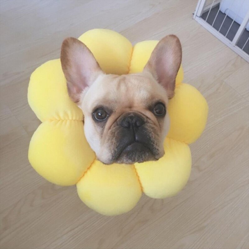 JU Cosplay Dog Cat Pet Flower Headgear Hat Costume Puppy Kitten Headdress Elizabeth Circle Head Wear Products Accessories