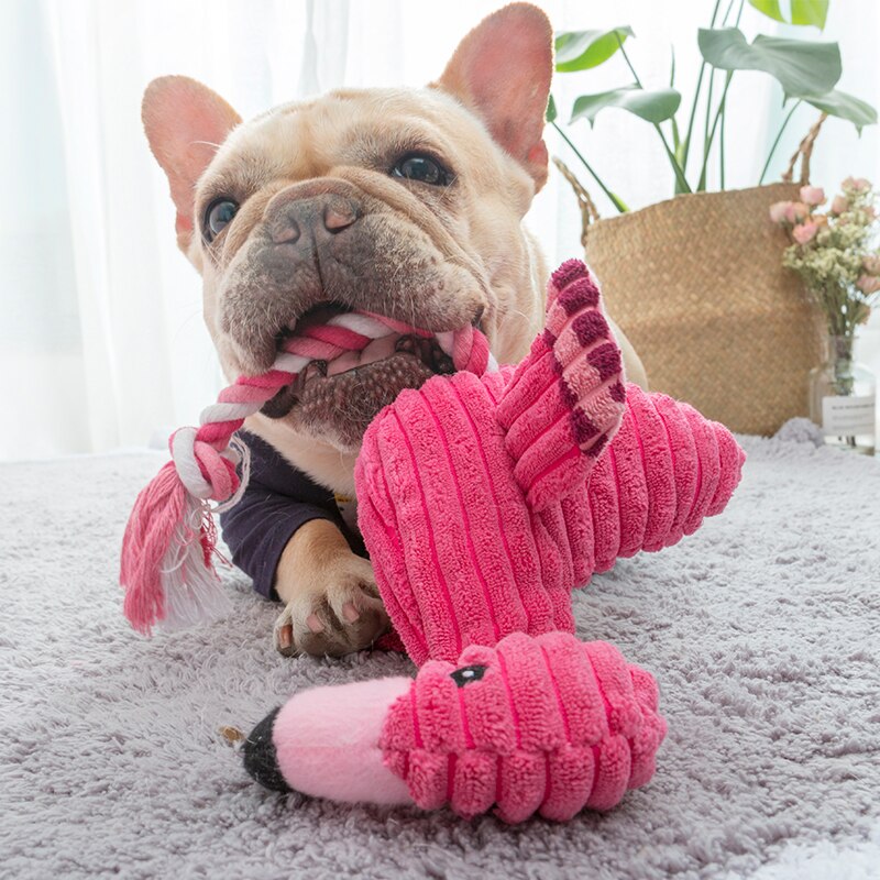 Chiens en peluche mignon, jouets à mâcher pour petit chien,jouet interactif à son grinçant, convient au Chihuahua/Yorkshire/Bouledogue/Carlin/Corgi