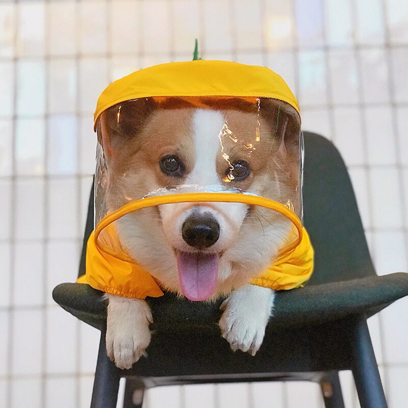 Waterdichte Hond Kleding Voor Honden Regenjas Dinosaurus Jumpsuits Pug Franse Bulldog Regenjassen Voor Honden Jumpsuits Pet Regenkleding