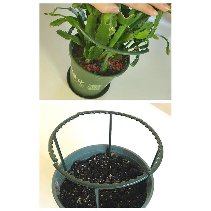 Green Half Round Plant Cage Holder Plants Support Stand Plant Climbing Frame for Morning Glory Crab Cactus