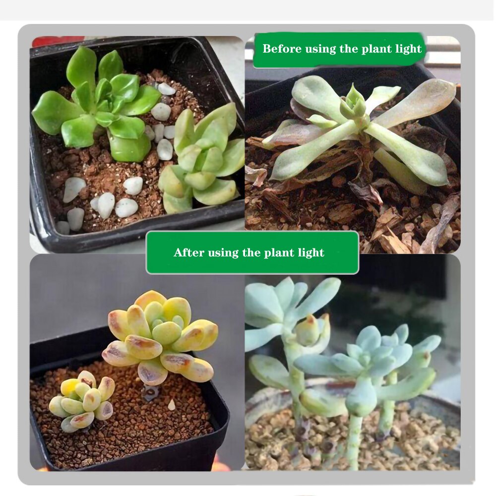 LED Wachsen Licht USB Lampe Volle Spektrum Für Pflanzen Sämlinge Blume drinnen pflanzen Wachsen