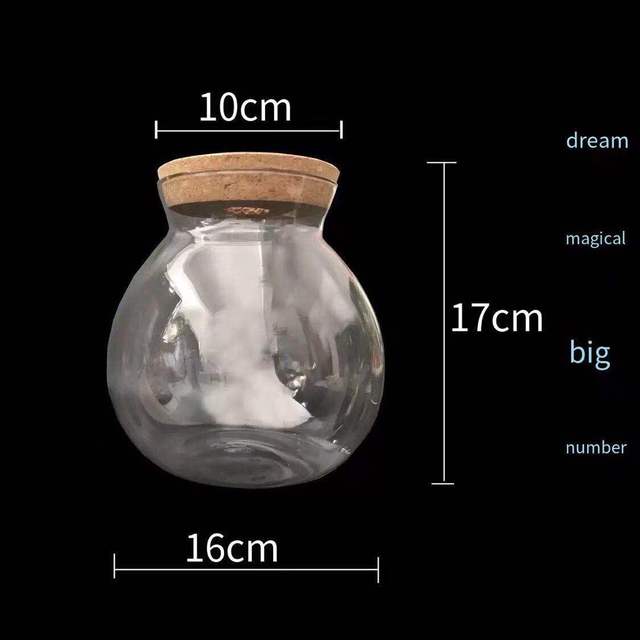 Acuario pequeño para peces, botella ecológica de vidrio para paisajismo, mirador, accesorios para acuarios: Empty bottle L