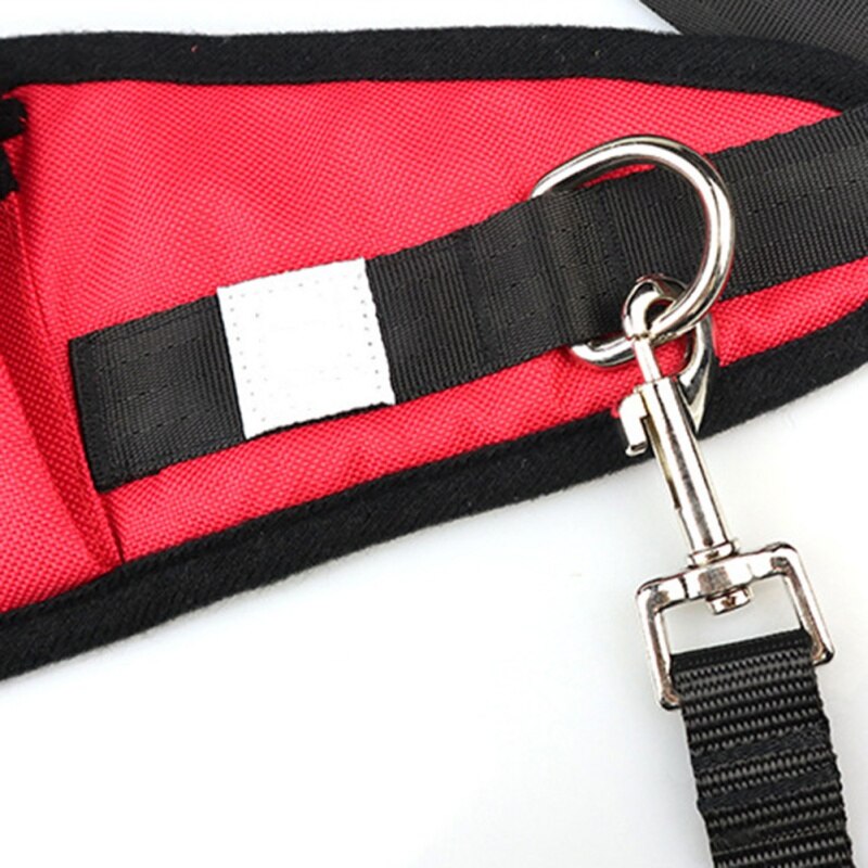 Draagbare afneembare geleideriem voor huisdieren, buitensporttraining, heuptas voor huisdieren