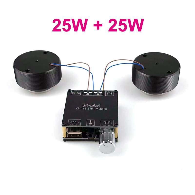 2*25W Audio Portable Resonance Vibration Speaker Bluetooth-Compatible DIY Stereo Class D Power Amplifier Subwoofer HiFi System: 50W