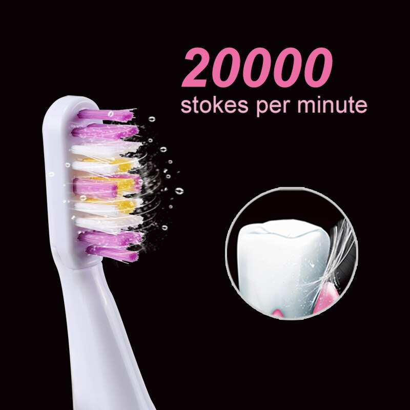Electric Toothbrush Sonic Adult Battery travel Teeth brush holder Portable with 2 Replacement Brush Heads Waterproof