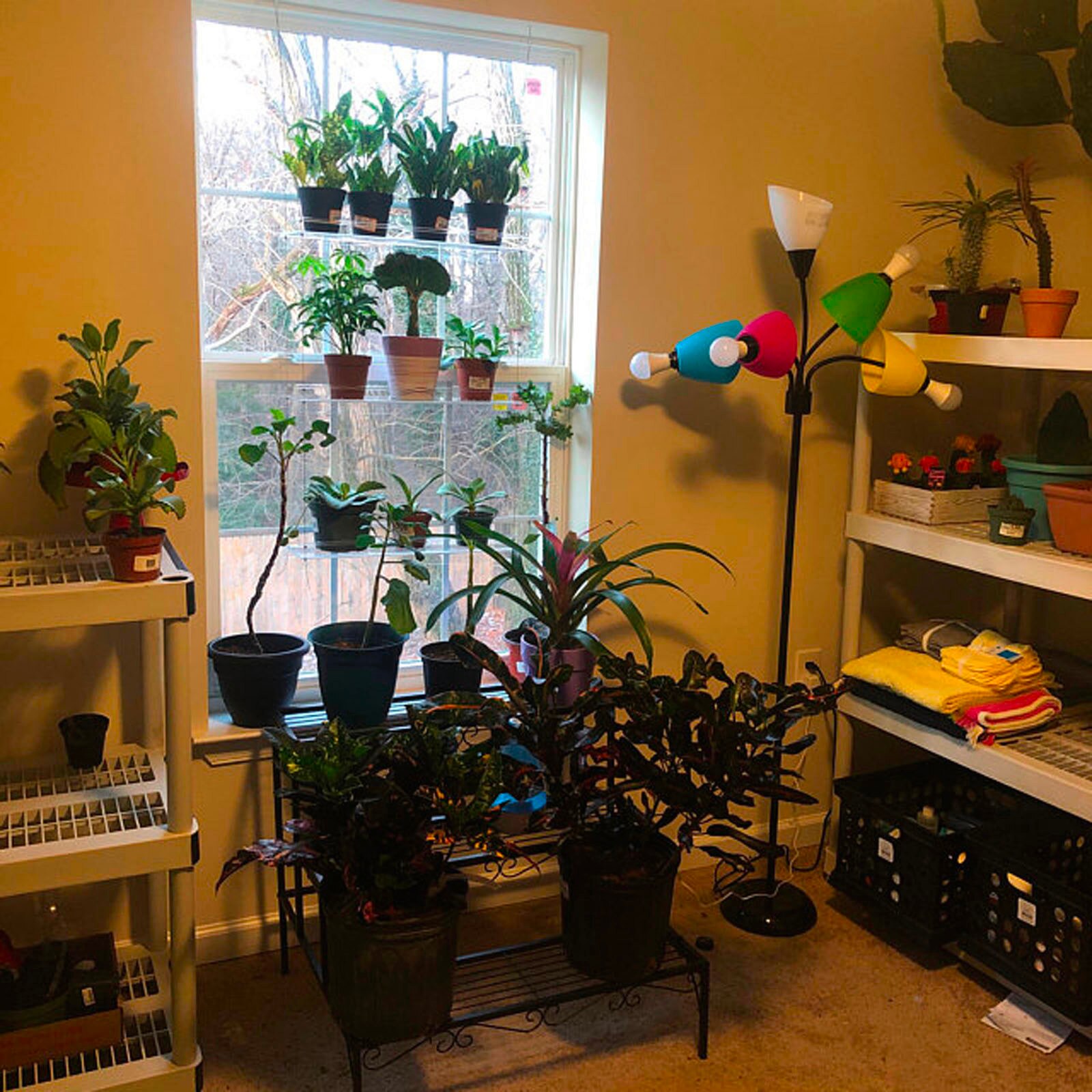 Étagère suspendue pour plantes à fenêtre, présentoir de pots de fleurs, bonsaï, support de rangement de décoration intérieure de jardin, décoration de salle de maison