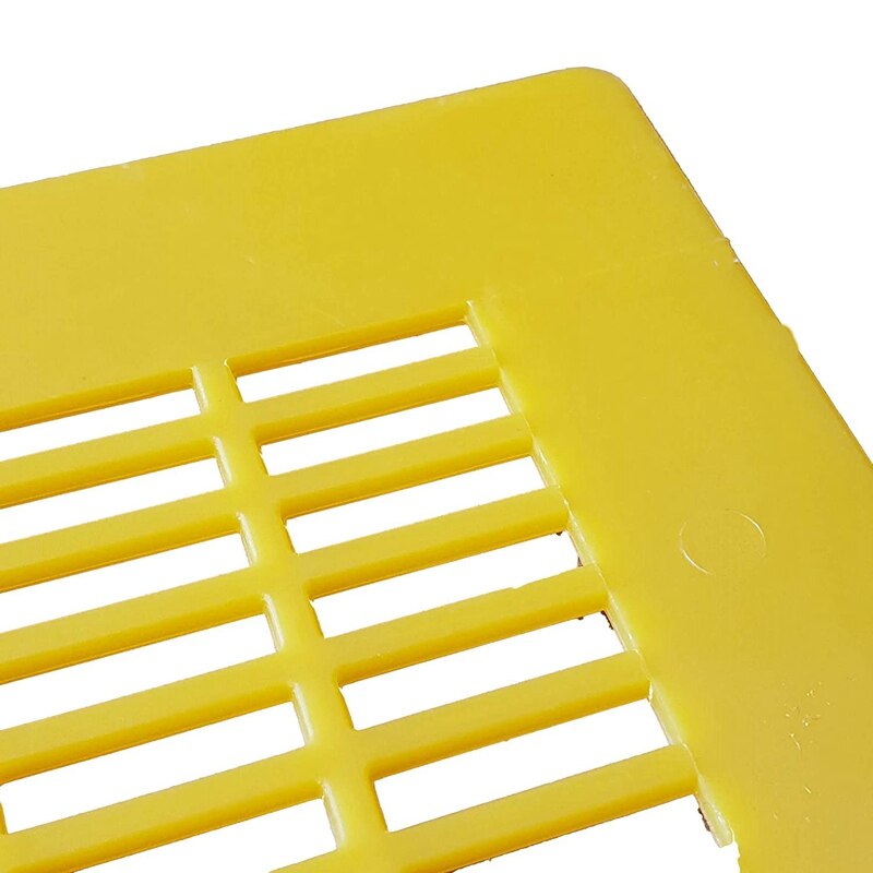 4 paczki narzędzia pszczelarskie pszczoła włoska pszczoła żółta plastikowa przegroda król pszczoła ula królowa pszczoła izolacja deska