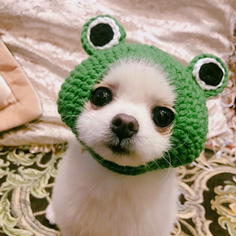 Tejido de punto lindo gato sombreros Rana cachorro gatito sombrero para invierno y otoño de algodón hecho a mano mascota de perro accesorios para perrito