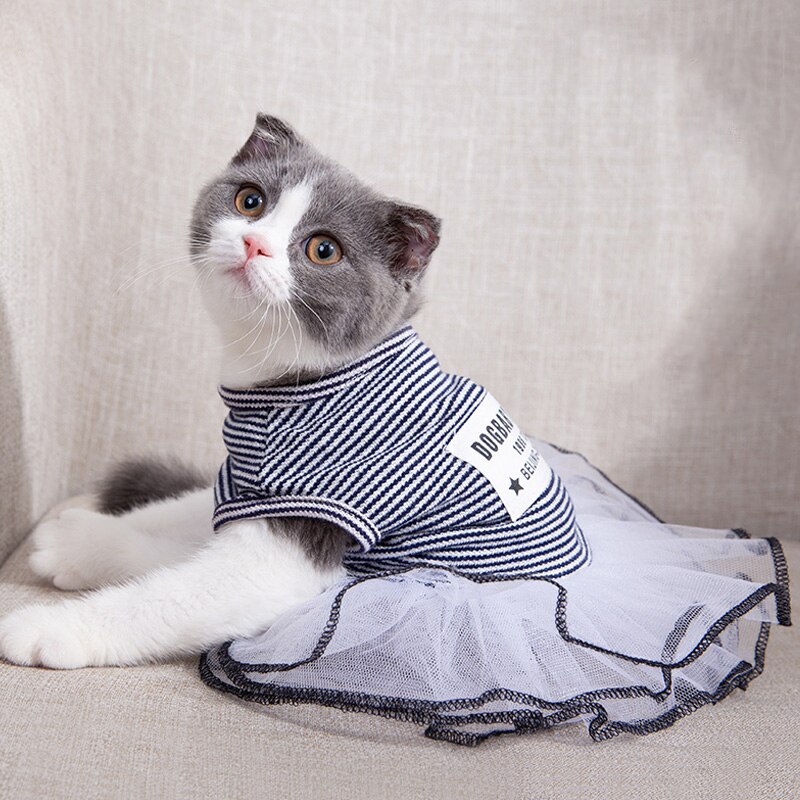 Mignon coupe-vent Costume chat robes tenue Animal vêtements Costume pour temps froid Vestidos Para Gato chat vêtements OO50QZ