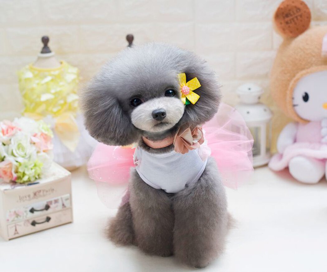 Summer Dog Dress Tutu Dress Pet Dog Clothes for Small Dog Wedding Dress Skirt Puppy Clothing Spring Pet Clothes Chihuahua Yorkie