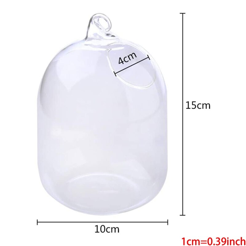 Suspended Transparent Hanging Glass Fish Tank Infusion Bottle Aquarium Flower Pl