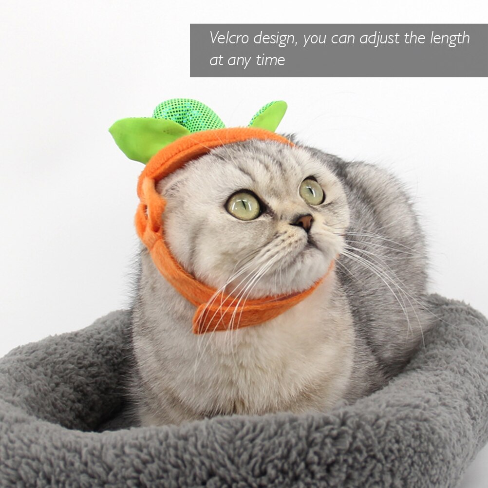 Pumpkin Cat Clothes Funny Cat Halloween Costume with Headdress Cat Clothing Halloween Clothes Dressing Up