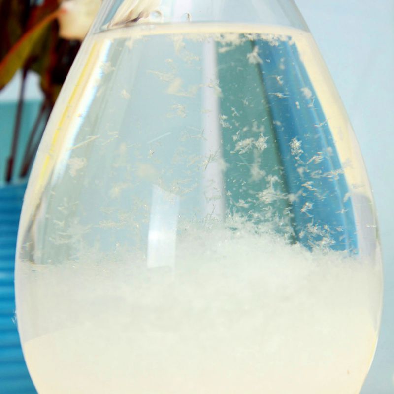 Stylish Beautifully Desktop Weather Forecast Water Glass Bottle Barometer Bottles Weather