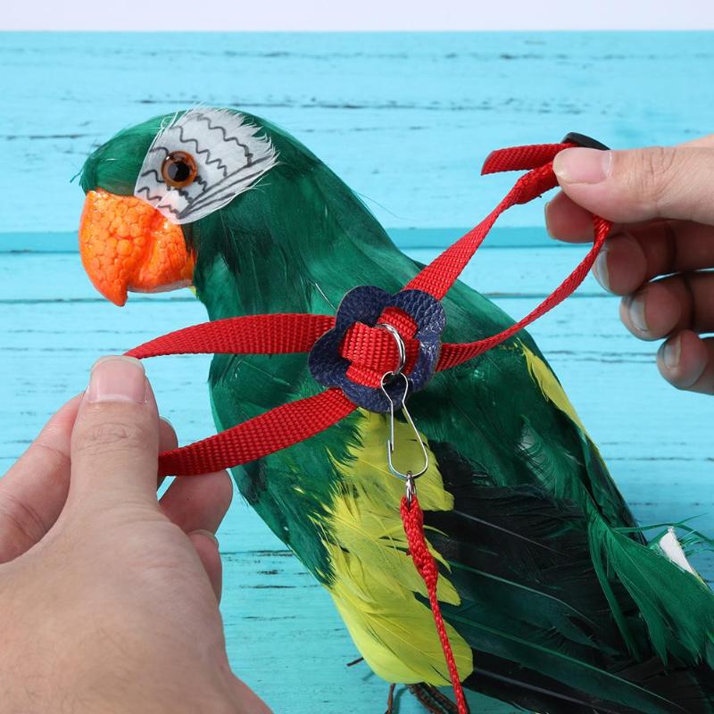 Papegøje fuglesnor justerbar sele kæledyr anti flyvende udendørs træning reb