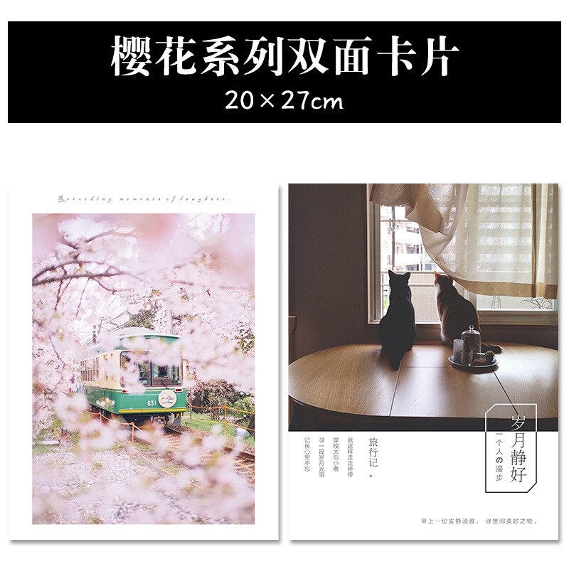 Magazine Cover Dubbelzijdig Card 20*27Cm Winkel Fotografische Prop Ins Kaart Kaart Papier Filmen Achtergrond Papier: Double Sided Cherry Blossom Card