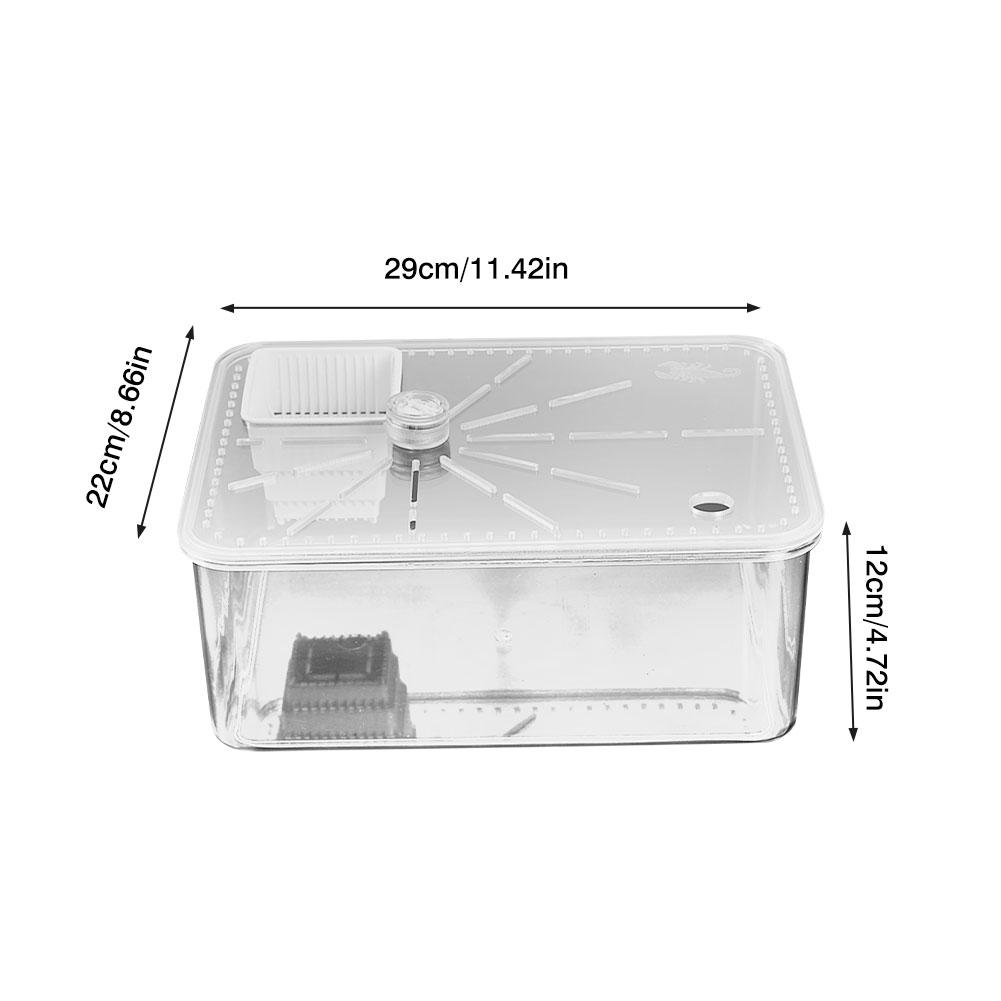 Reptile Tank Insect Spiders Tortoise Lizard Acrylic Transparent Breeding Box Vivarium Lid Reptile Pet Product Terrarium