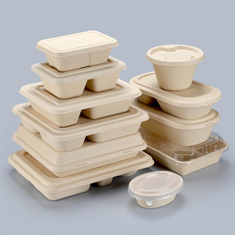 5PCS 800ML Three-Grid Food Containers Disposable Pulp Lunch Box Biodegradable Takeout Box Eco-Friendly Doggy Boxes With Lid