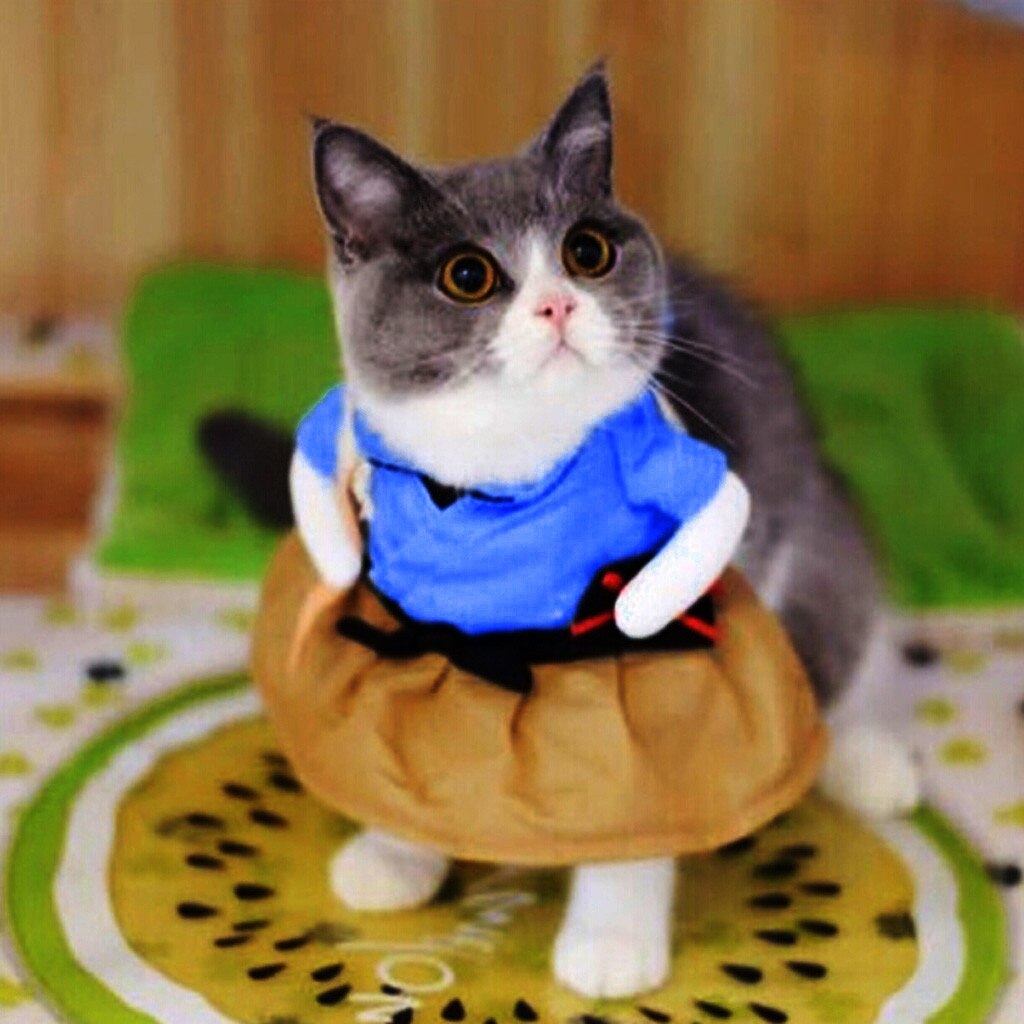 Pet Dog Cat Clothes Funny Pet Clothes Cosplay Dress Cute Comfort Costume Clothing For Small Medium Pet