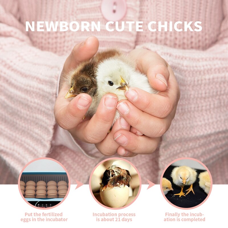 15 Egg Incubator Fully Automatic Hatching Machine Coop Poultry Farm Chicken Goose Duck Quail Eggs Incubator Bird Feeder Hatcher