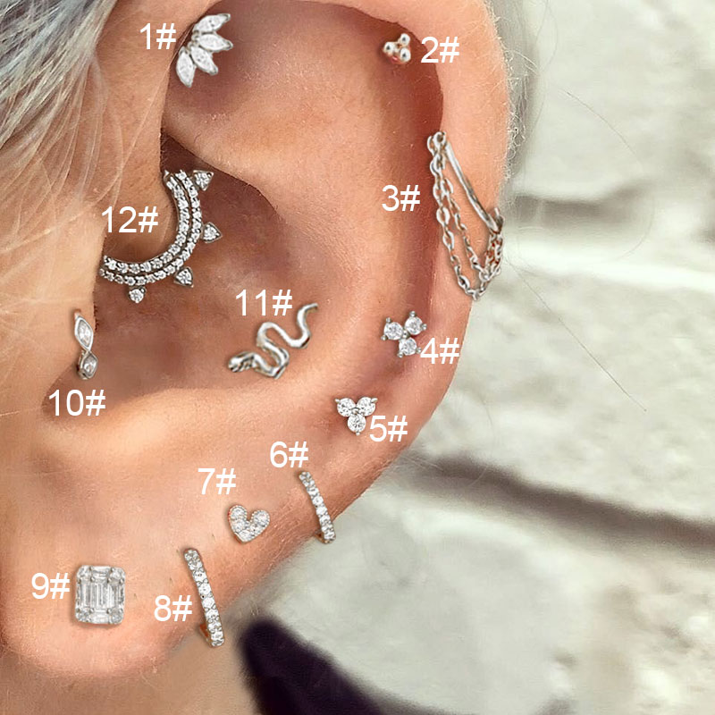 Zirconia Hoop Earring Oor Piercing 1PC Daith Tragus Helix Kwab Rook Hart Slang Kraakbeen Roestvrij Stalen Ketting Oorbel Sieraden: Zilver / Silver Plated