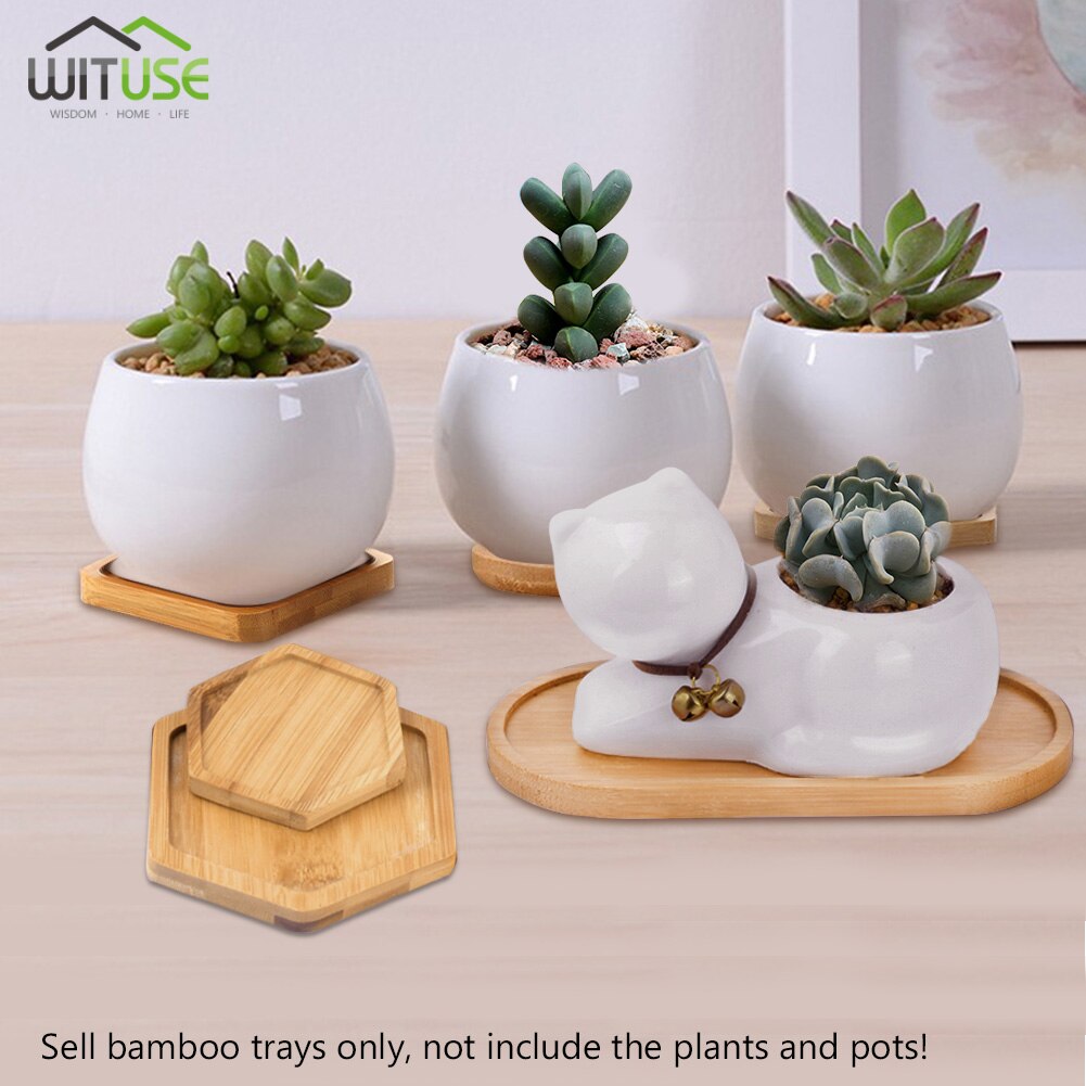 Växter kruka fat bonsai krukor bambu bricka söt blomma behållare keramik lådställ porslin suckulent