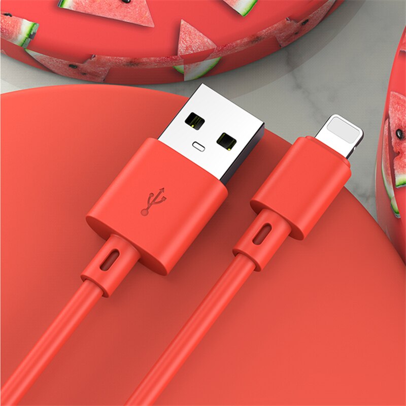 Vloeibare Siliconen Draad Snel Opladen Usb Data Charger Kabel Voor Iphone 6S 7 8 Plus X Xr Xs 11 pro Max Se Usb Charge Kabel 1M 2M 3M: Red / 2m