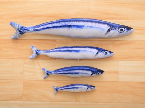 1Pc Cat Pet Chew Toy Cloth Fish Shaped Toys Play Plush Tools: Green / 40cm