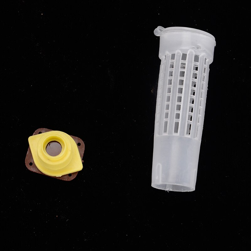 50/70/100/200Pcs Queen Bee Protective Cover Prisoner Queen Cage Beekeeper Tool Garden Beekeeper Queen Bee Catcher