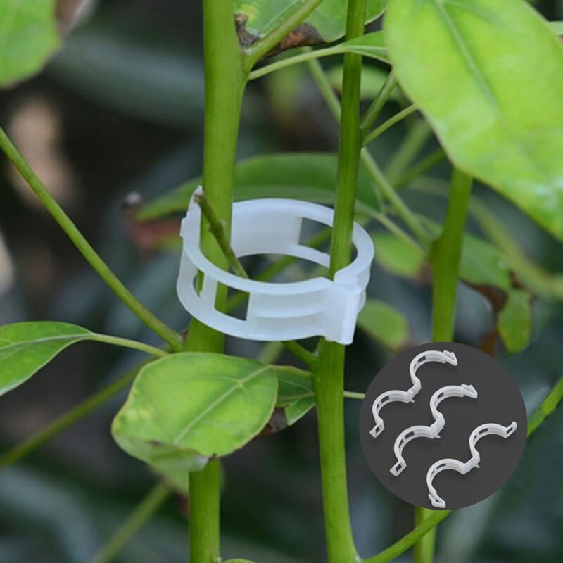 50/100 25mm herbruikbare klemmen, plastic plantensteunclips voor hangende planten, wijnranken, tuinkas, groenten, tomatenclips