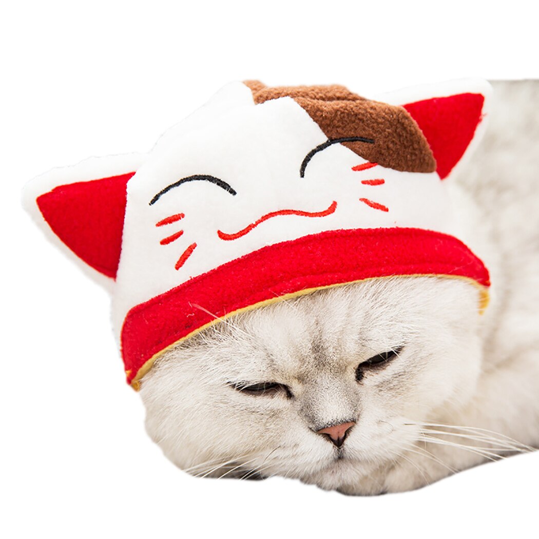 Chapeau et amusant pour chien et chat, Costume pour animal de compagnie, accessoire de déguisement, accessoire de fête: Smile Cat