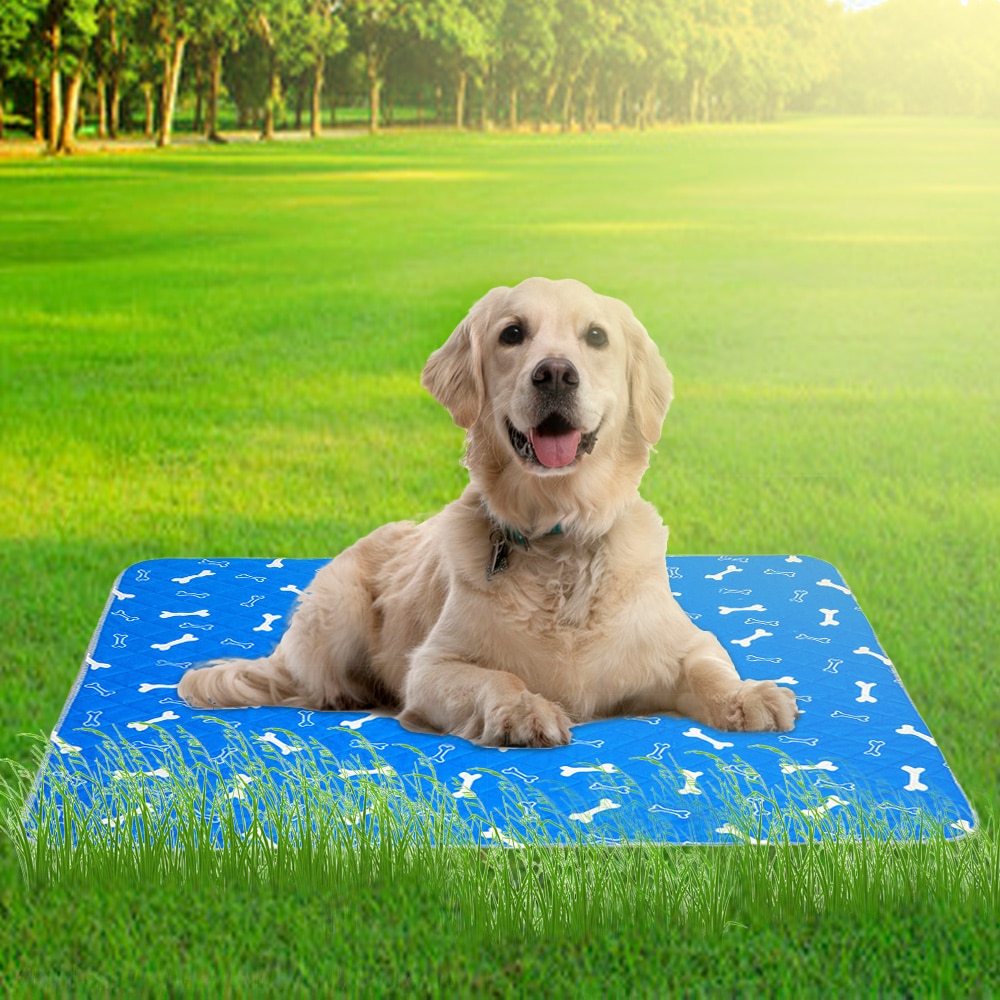 Koelmatten voor honden, zomerbed voor kleine/middelgrote/grote honden/katten, koelmatras voor katten, maat s/m/l/xl  #3