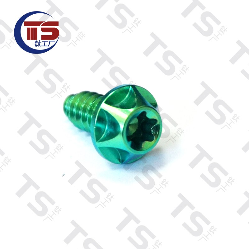 Ts Titanium Ti M4x15mm M6X15/20Mm Zelftappende Knop Torx Schroef Voor Motorfiets Auto (10Pcs): Zilver / M2*5 mm
