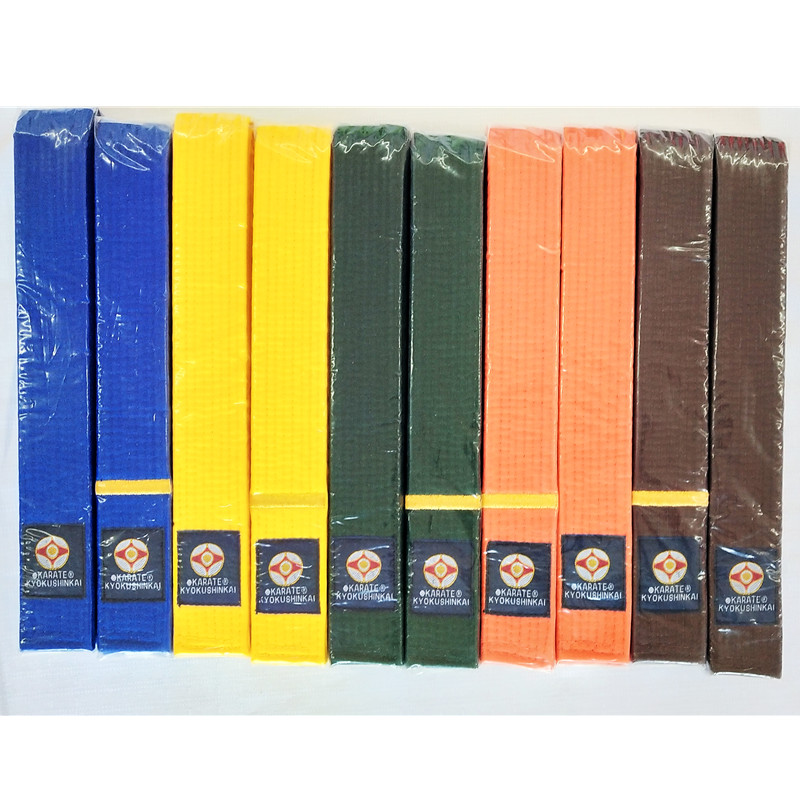 Professionele Kyokushin Kai Karate Riemen Iko Borduren Riemen Oranje Kleur Karate Riem 1 dan Brown Taekwondo Wkf Riemen