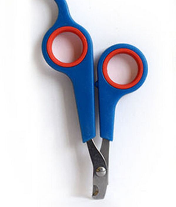 Pet Nailclippers Cutter Tool for Dog Cat Claw Nail Cleaning Clippers Scissors Tools: Blue