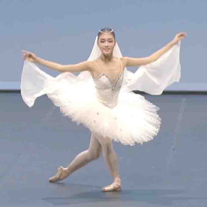 Voksen hvit tutu kvinner ballett dans konkurranse kostyme kunstløp kjole for jenter swan lake ballett kjole
