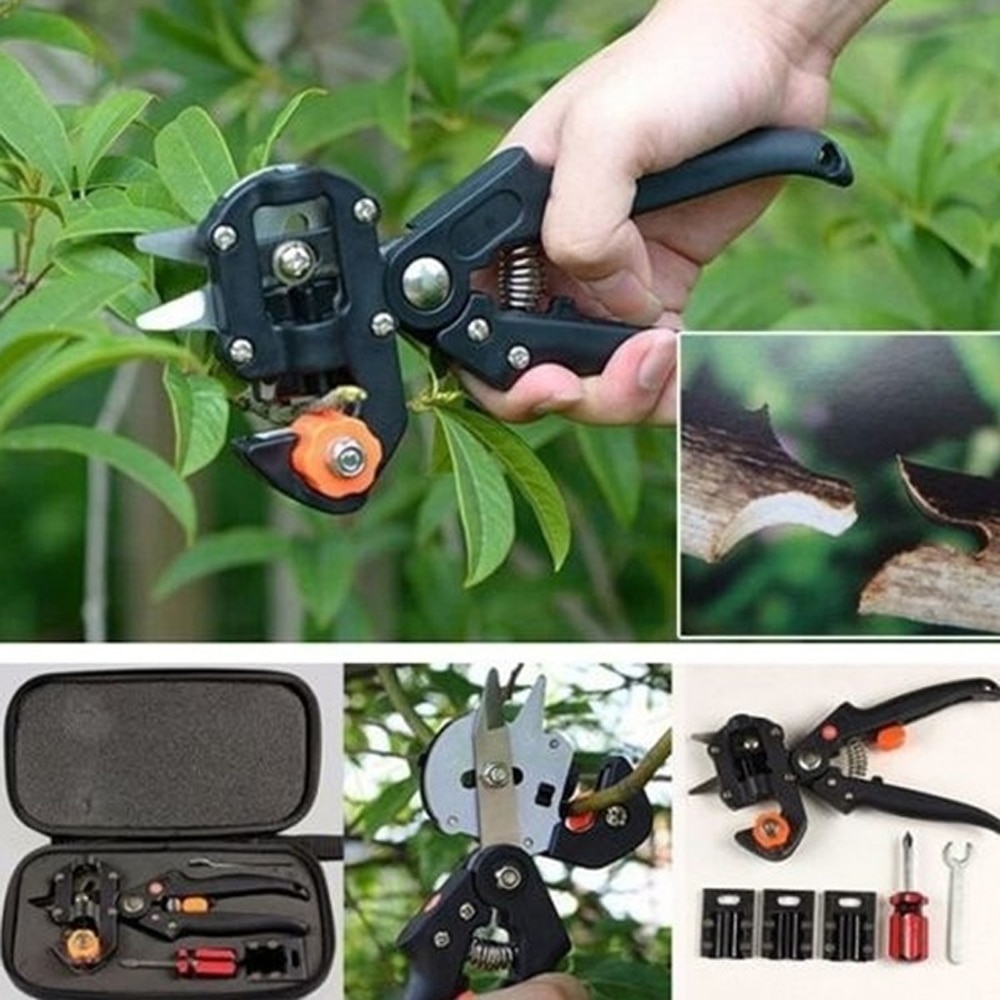 Outils de bonsaï pour arbres fruitiers, sécateur de jardin , Kit d'outils de coupe, de greffage de jardin domestique