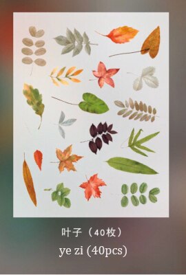 JIANWU – Autocollants washi, séries plantes et fleurs, 40 pièces, étiquette de scrapbook, décoration pour journal intime, fourniture de papeterie: ye zi