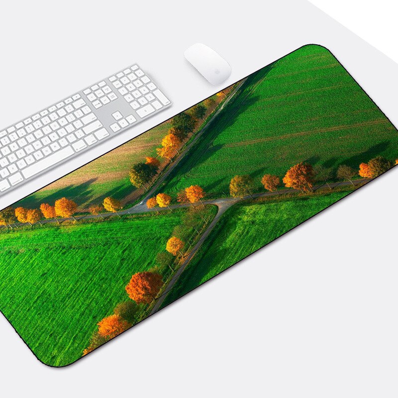 800x300x2mm Gaming Mouse Pad Large Mouse Mat Laptop Space Writing Desk Mats Computer Gamer Keyboard Deskpad Mousepad
