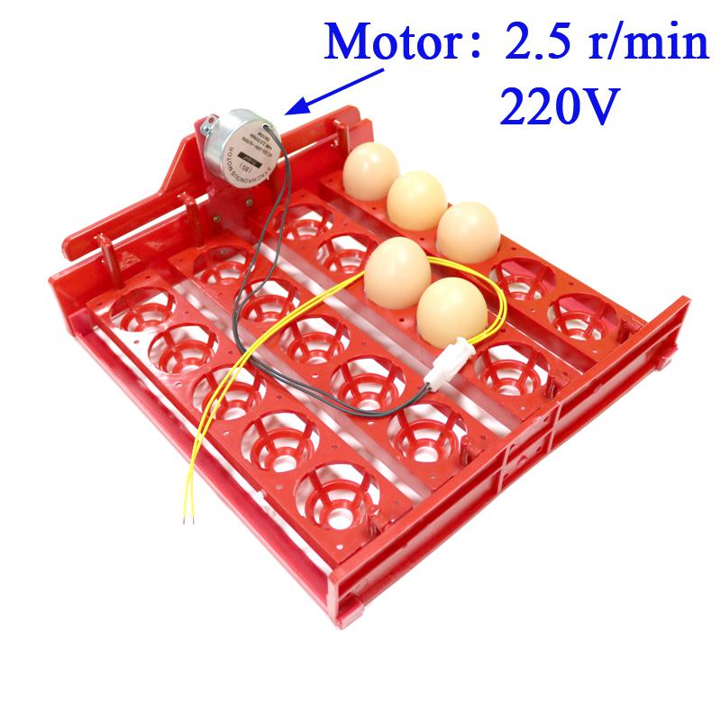 20 Eggs Incubator Turn Eggs Tray 220V/110V/12V Motor Chicken Eggs Automatic Hatching DIY Incubator Accessories Equipment 1 Set: Red