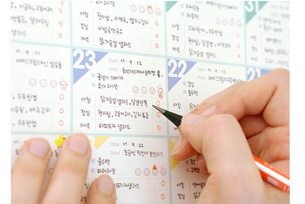 100 Days Countdown Daily Planner , Work Study Objective Schedule Planner , Weekly Planner