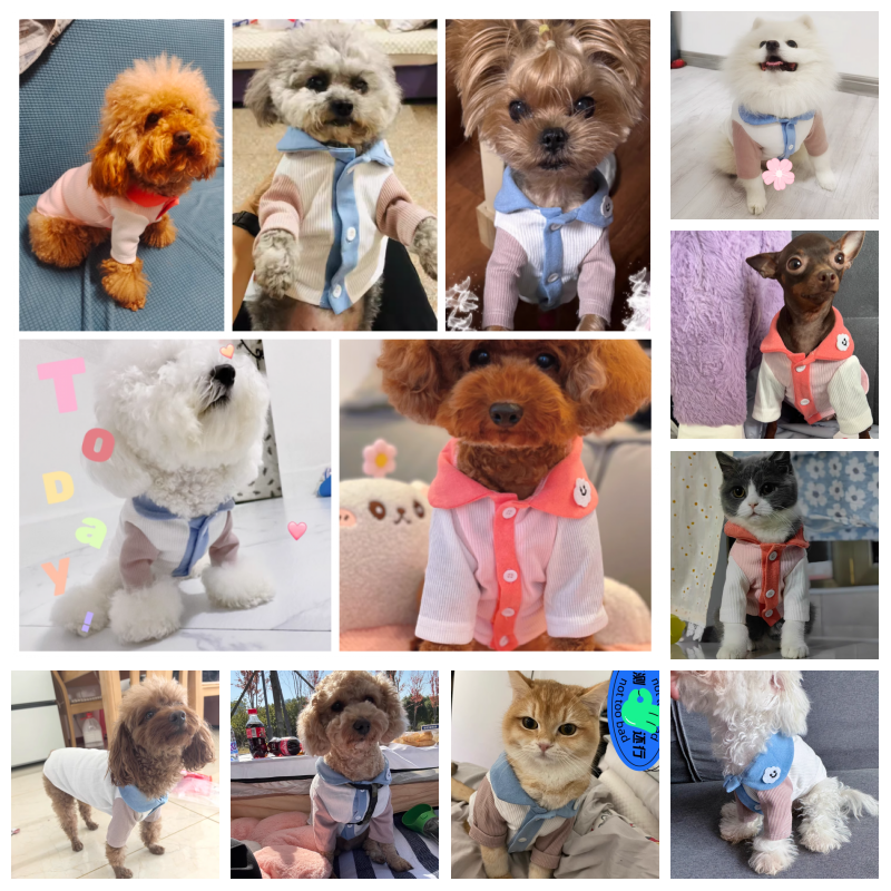 Dunne hondenhoodies voor honden, stevige hondenjas, katoenen ondershirts, puppysweater, chihuahua-kostuum, hondenkleding, mode